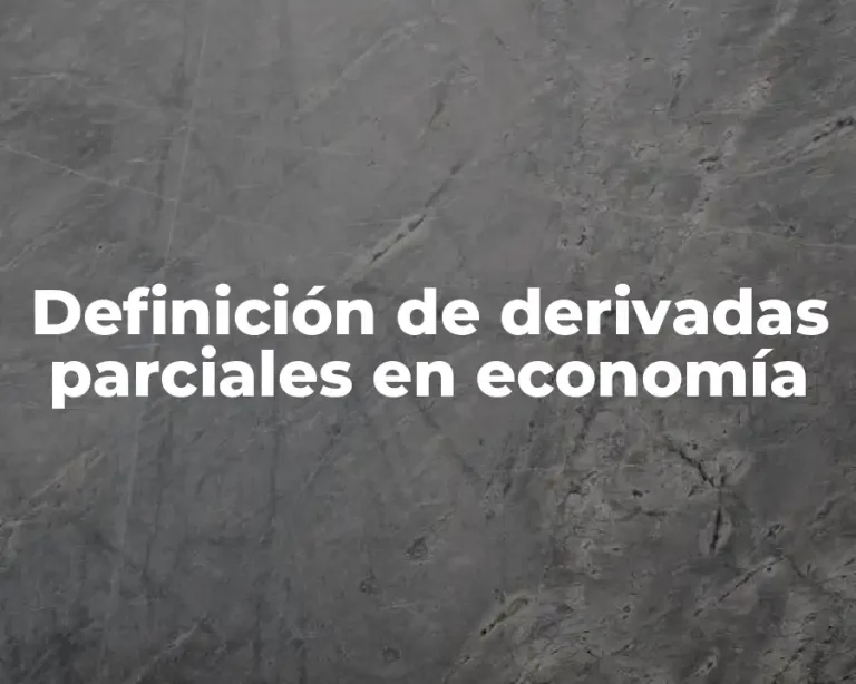 Definición de derivadas parciales en economía