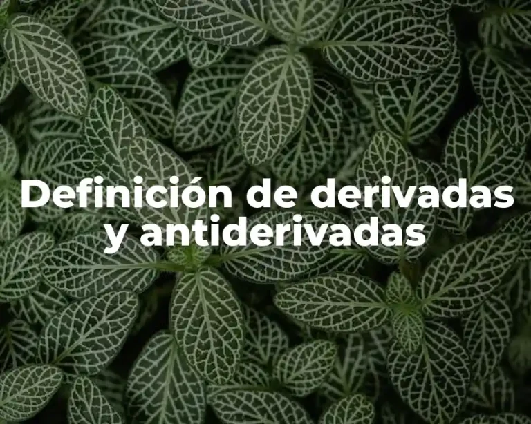 Definición de derivadas y antiderivadas