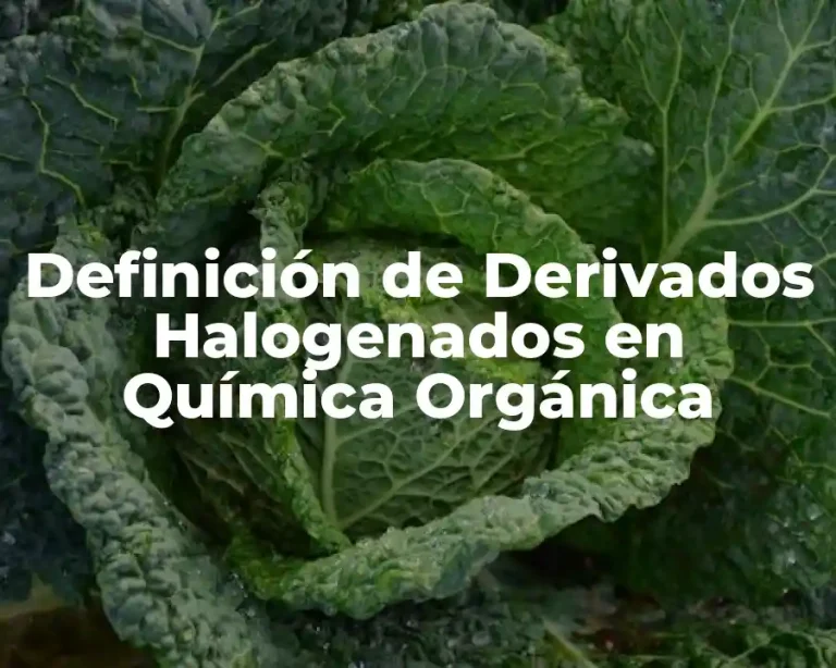 Definición de Derivados Halogenados en Química Orgánica