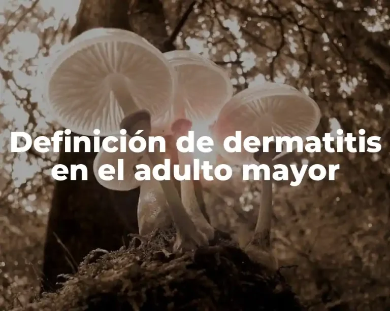 Definición de dermatitis en el adulto mayor