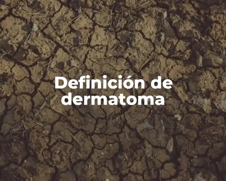 Definición de dermatoma