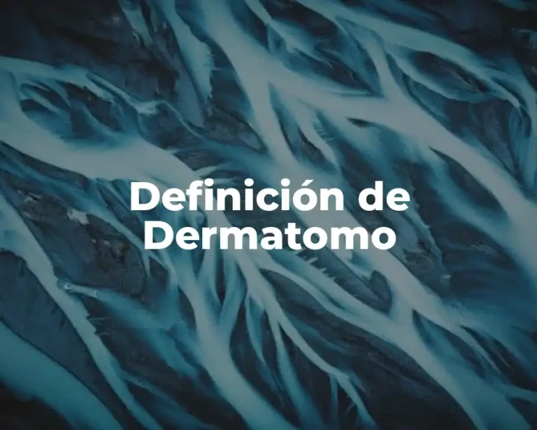 Definición de Dermatomo