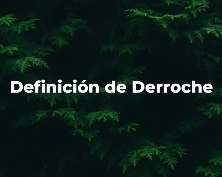 Definición de Derroche