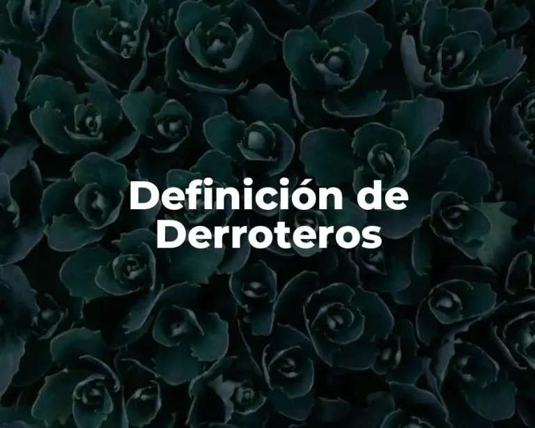 Definición de Derroteros