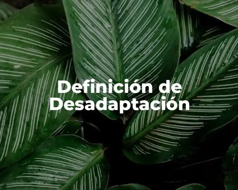Definición de Desadaptación