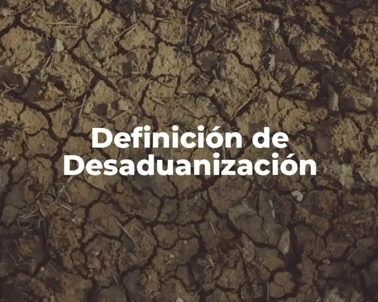 Definición de Desaduanización