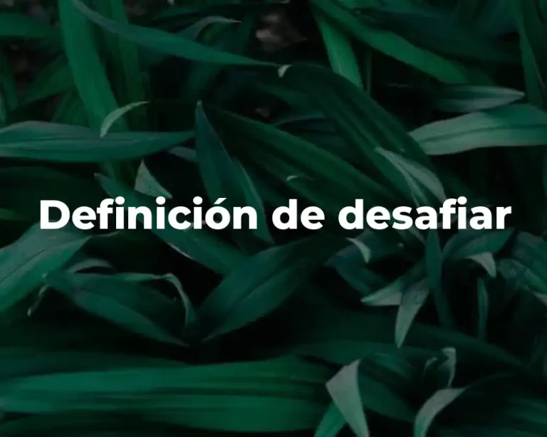 Definición de desafiar