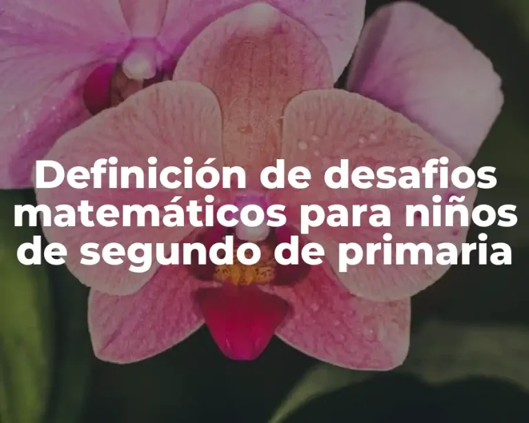 Definición de desafios matemáticos para niños de segundo de primaria