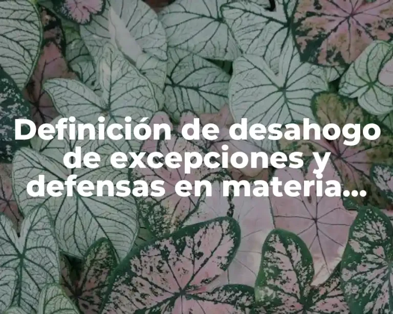 Definición de desahogo de excepciones y defensas en materia familiar