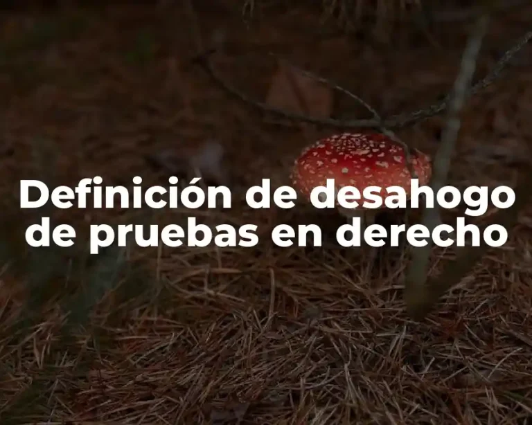 Definición de desahogo de pruebas en derecho
