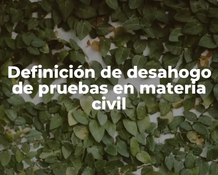 Definición de desahogo de pruebas en materia civil