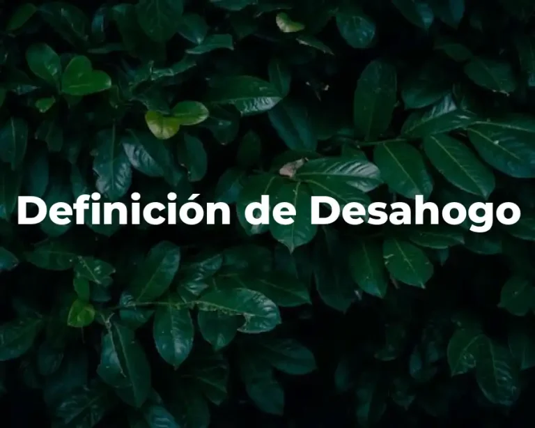 Definición de Desahogo