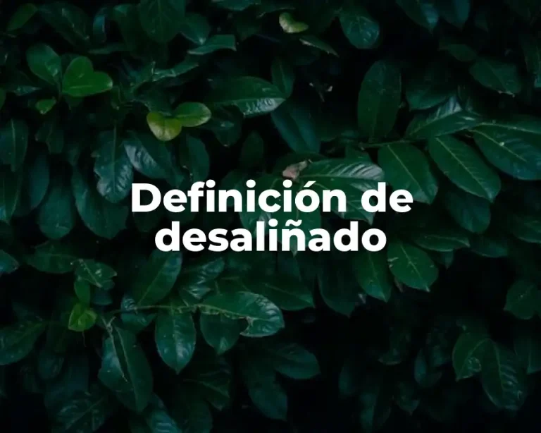 Definición de desaliñado