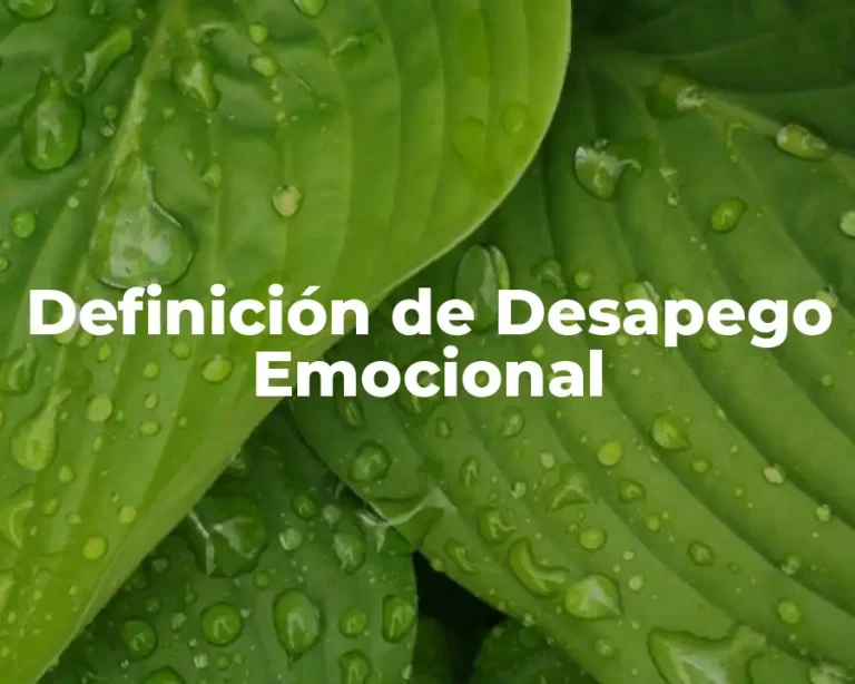 Definición de Desapego Emocional