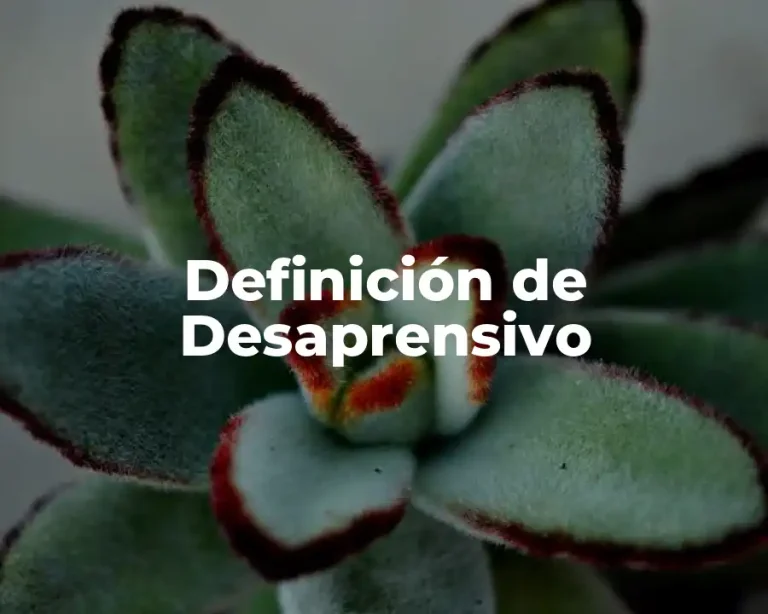 Definición de Desaprensivo