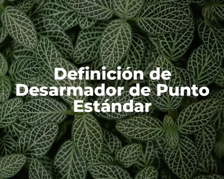 Definición de Desarmador de Punto Estándar