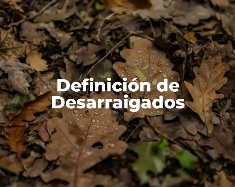 Definición de Desarraigados
