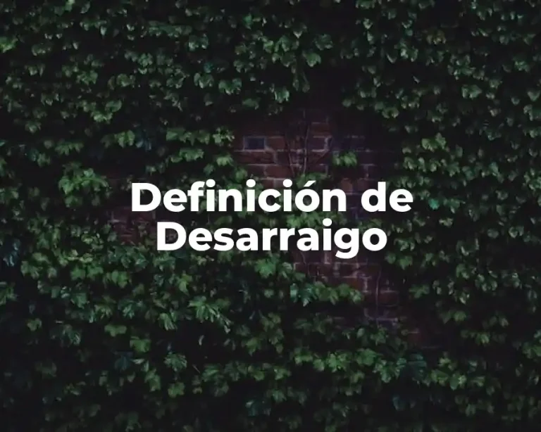 Definición de Desarraigo