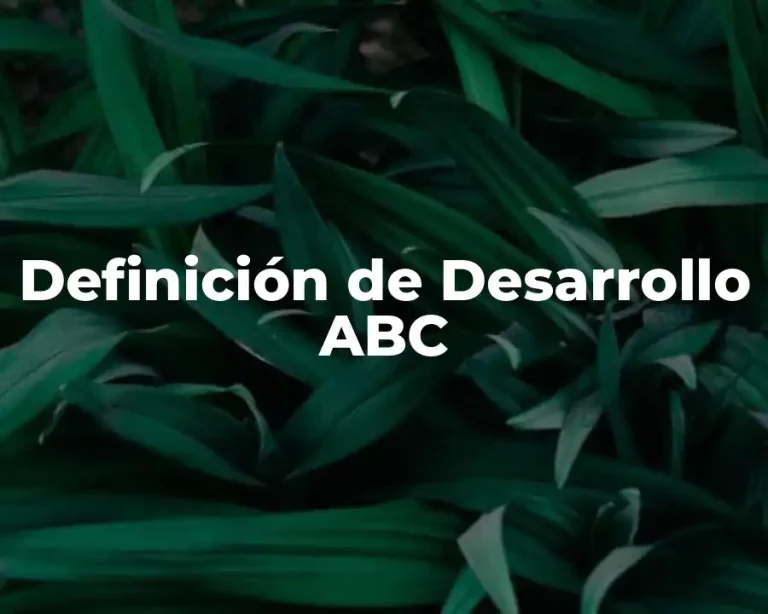 Definición de Desarrollo ABC