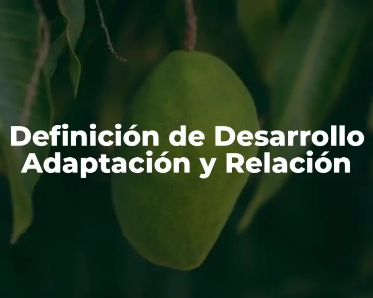 Definición de Desarrollo Adaptación y Relación