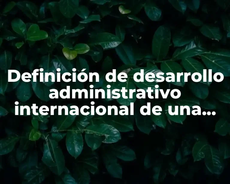 Definición de desarrollo administrativo internacional de una empresa