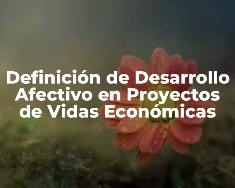 Definición de Desarrollo Afectivo en Proyectos de Vidas Económicas