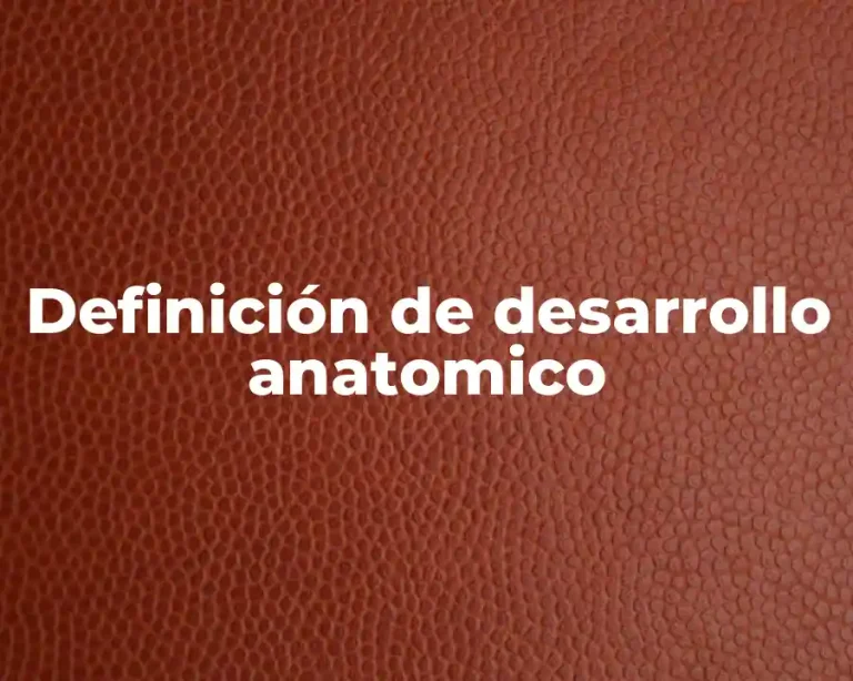 Definición de desarrollo anatomico