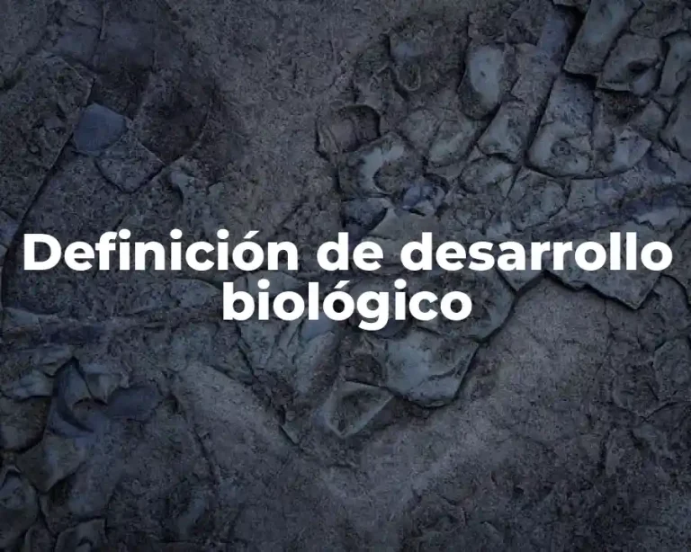 Definición de desarrollo biológico