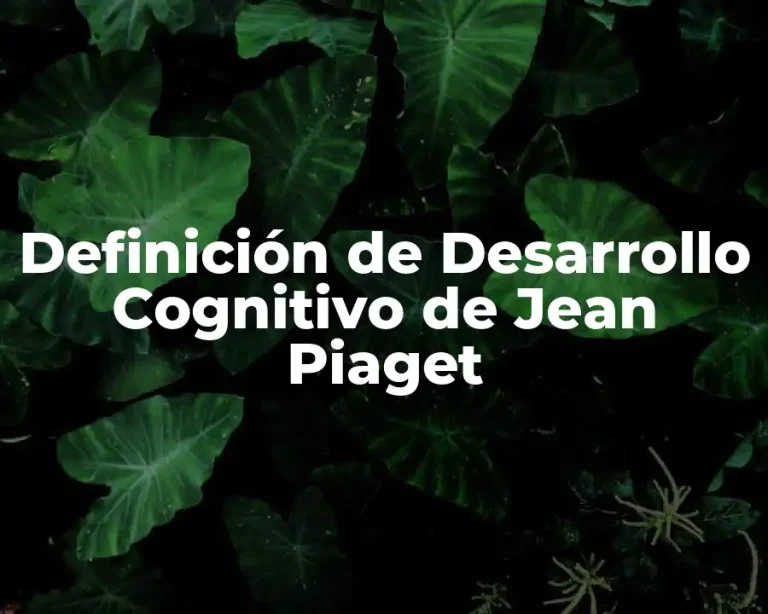 Definición de Desarrollo Cognitivo de Jean Piaget