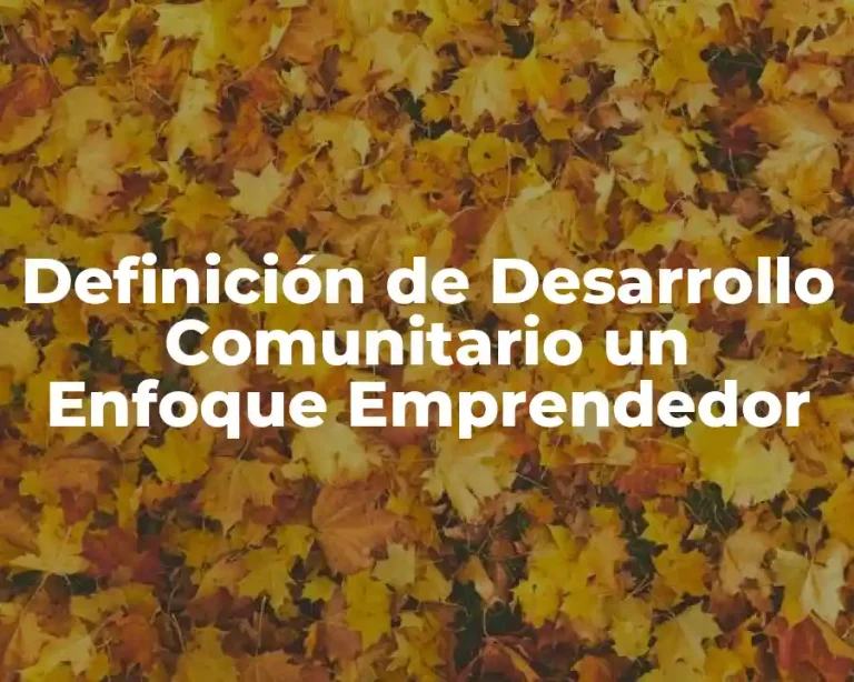 Definición de Desarrollo Comunitario un Enfoque Emprendedor