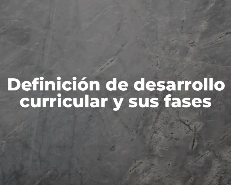 Definición de desarrollo curricular y sus fases
