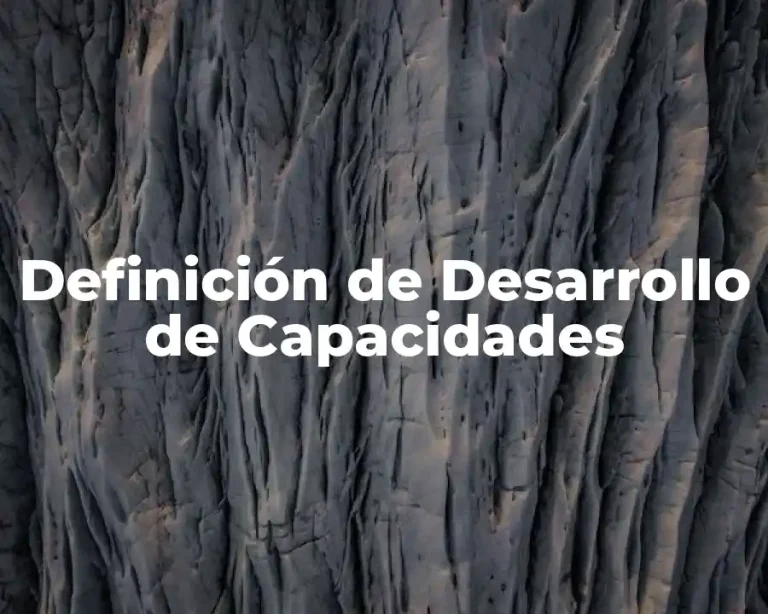 Definición de Desarrollo de Capacidades