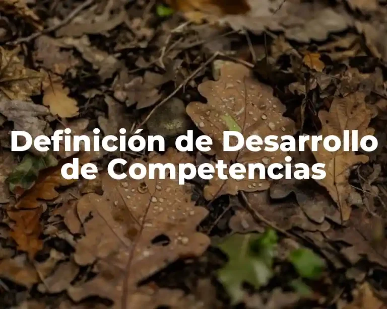 Definición de Desarrollo de Competencias