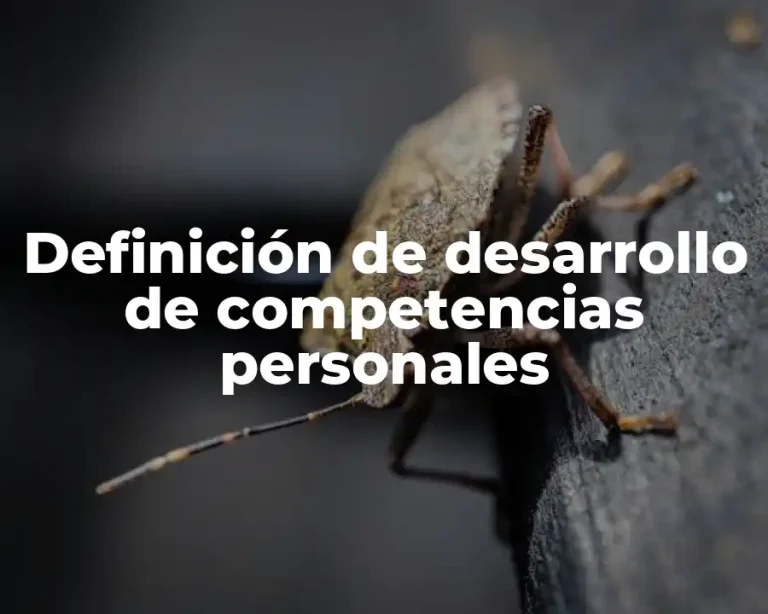 Definición de desarrollo de competencias personales