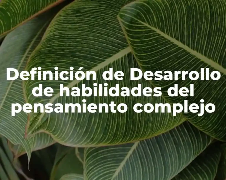 Definición de Desarrollo de habilidades del pensamiento complejo
