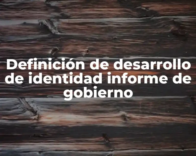 Definición de desarrollo de identidad informe de gobierno