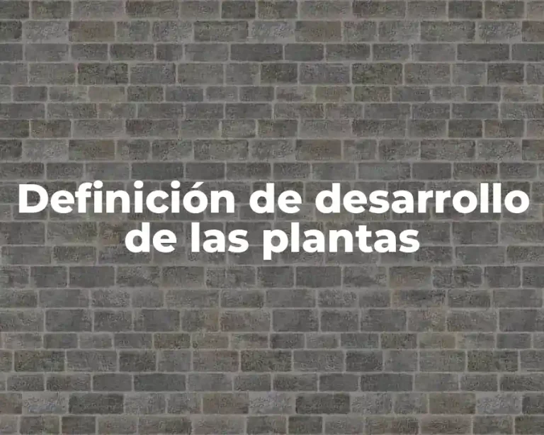 Definición de desarrollo de las plantas