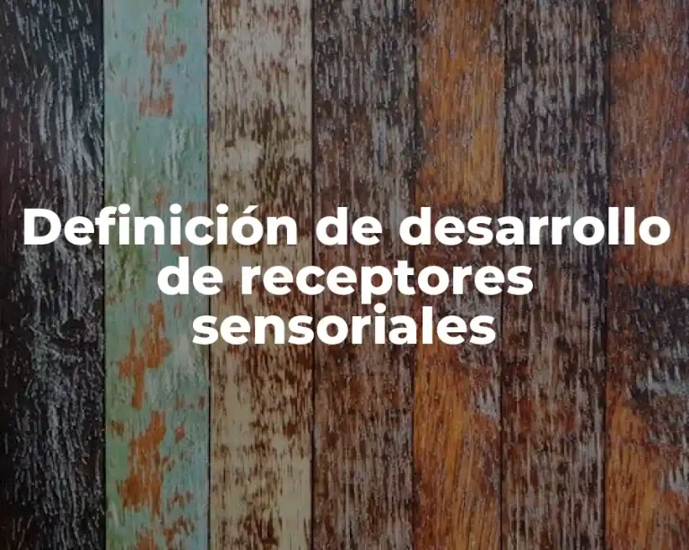 Definición de desarrollo de receptores sensoriales