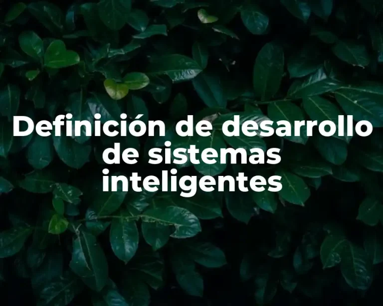 Definición de desarrollo de sistemas inteligentes