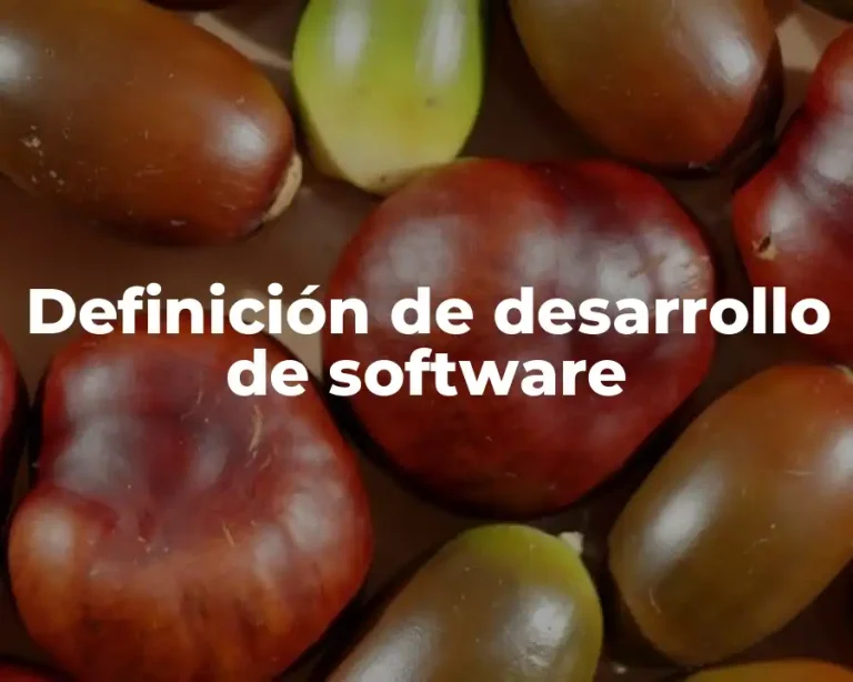 Definición de desarrollo de software