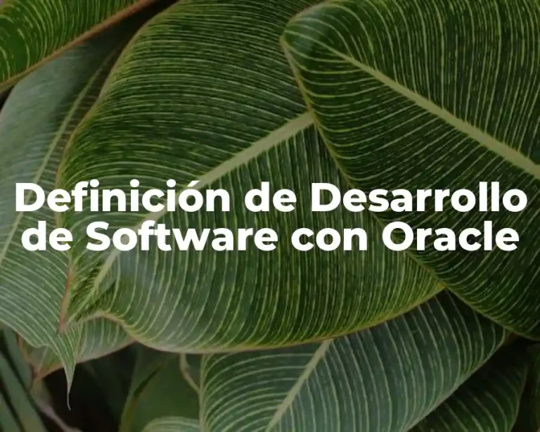 Definición de Desarrollo de Software con Oracle