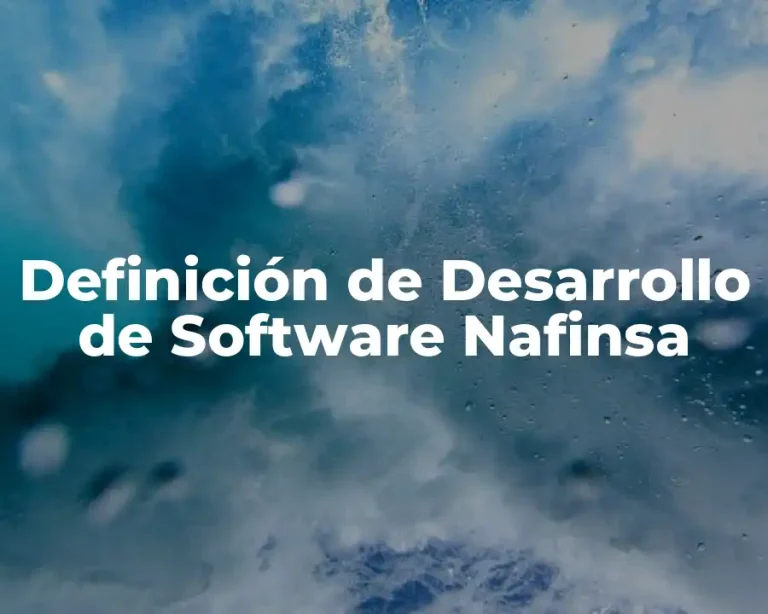 Definición de Desarrollo de Software Nafinsa
