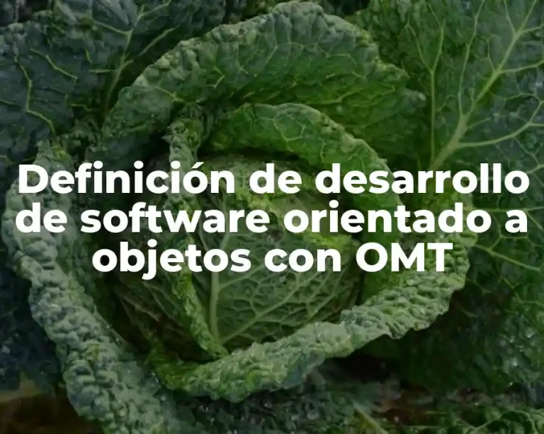 Definición de desarrollo de software orientado a objetos con OMT