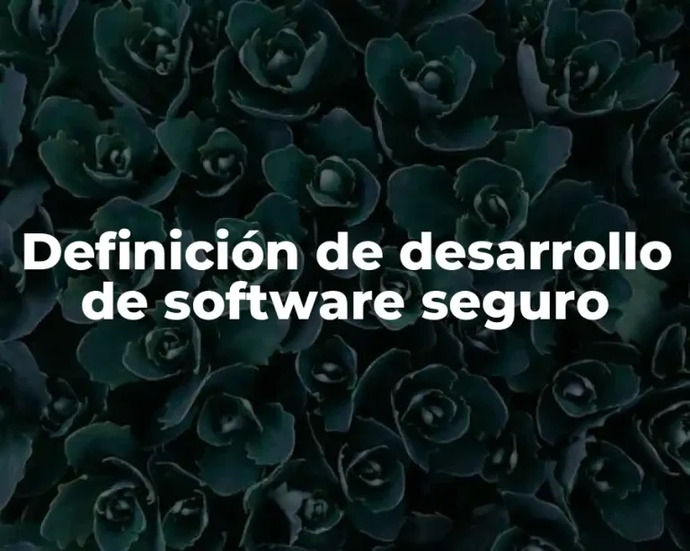Definición de desarrollo de software seguro
