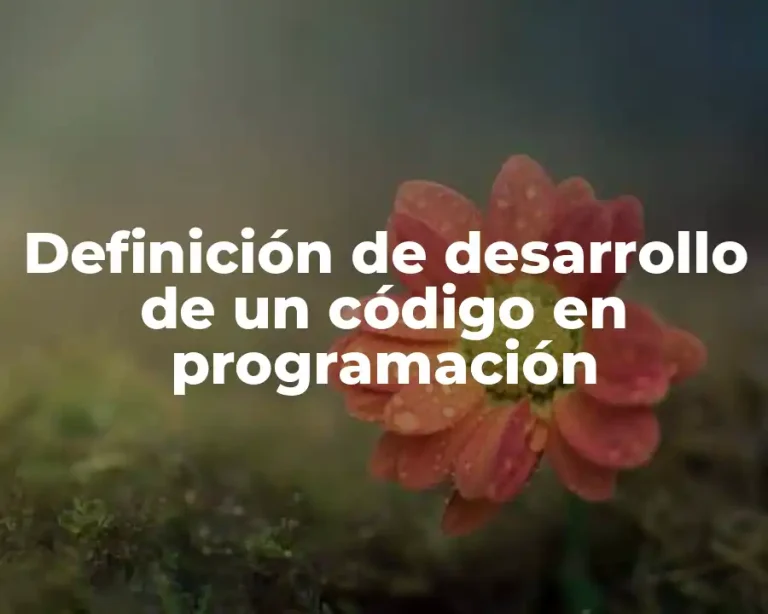 Definición de desarrollo de un código en programación