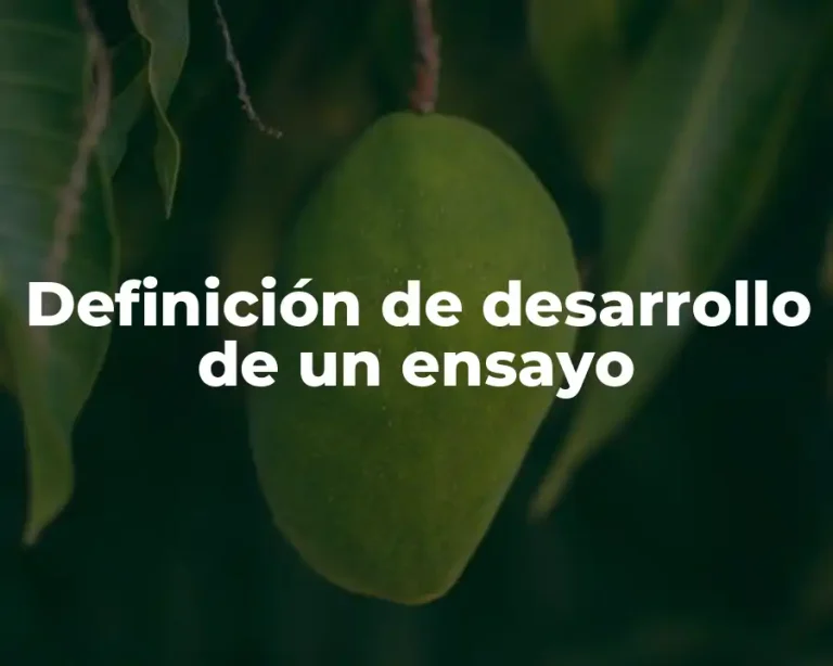 Definición de desarrollo de un ensayo