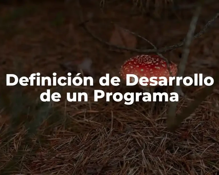 Definición de Desarrollo de un Programa