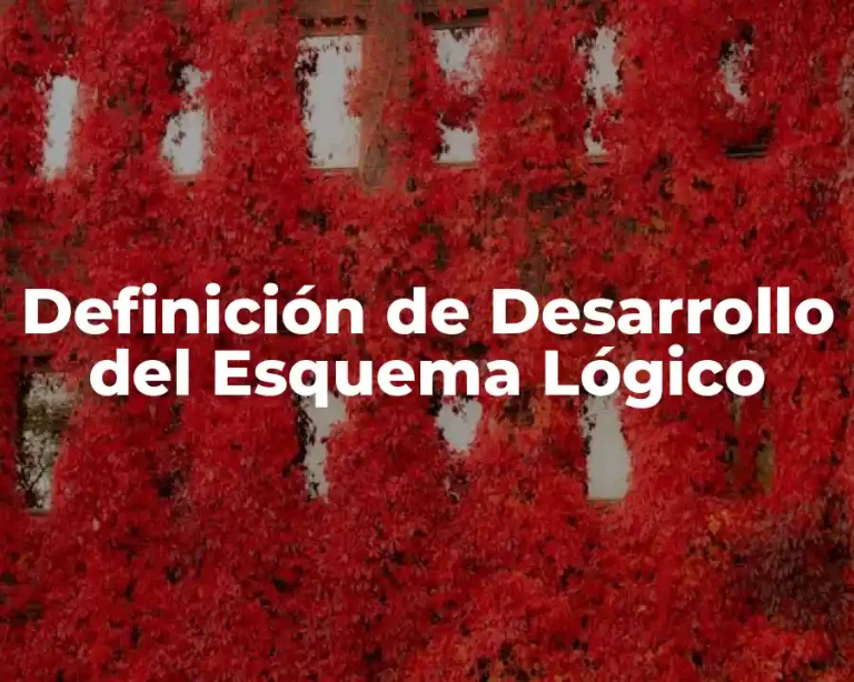Definición de Desarrollo del Esquema Lógico