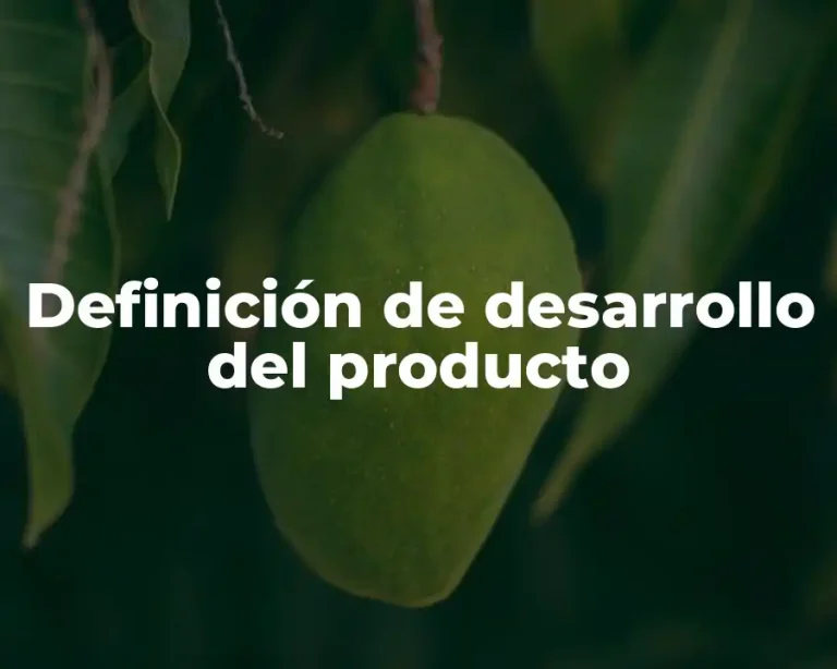 Definición de desarrollo del producto