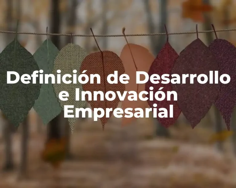 Definición de Desarrollo e Innovación Empresarial